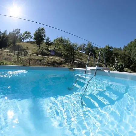 Apartment Holzhaeuschen Mit Pool *