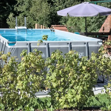 Holzhaeuschen Mit Pool * Kropfsdorf