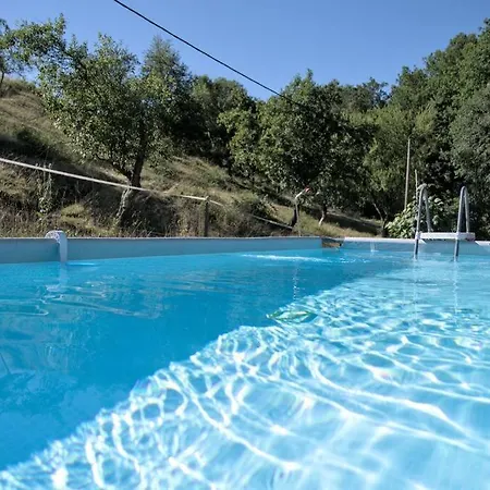 Holzhaeuschen Mit Pool Kropfsdorf