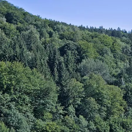 Holzhaeuschen Mit Pool Kropfsdorf