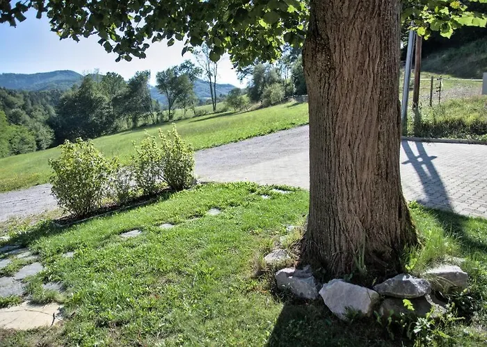 Holzhaeuschen Mit Pool