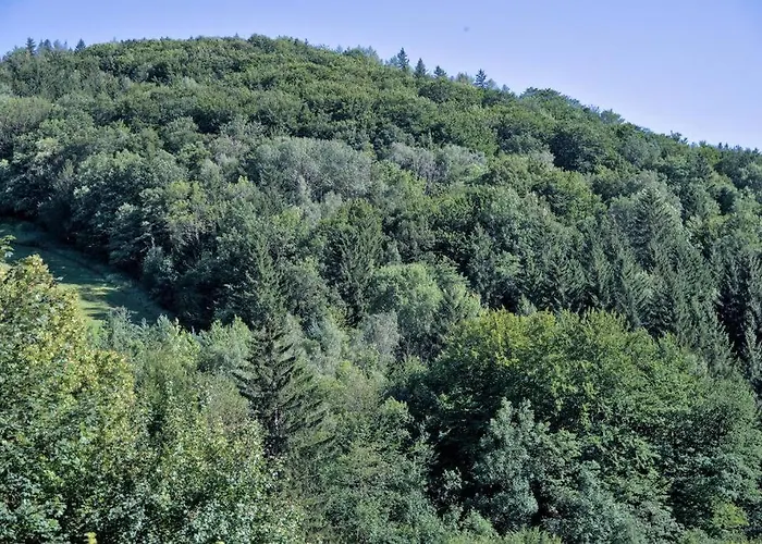 Holzhaeuschen Mit Pool *