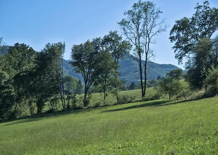 Apartment Holzhaeuschen Mit Pool Kropfsdorf