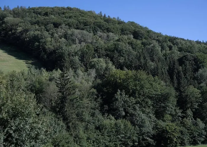 Holzhaeuschen Mit Pool Apartment Kropfsdorf