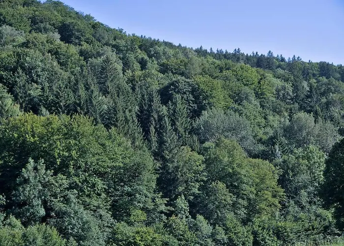 Holzhaeuschen Mit Pool Kropfsdorf